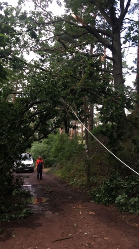 Stumeinsaetze 2017_9